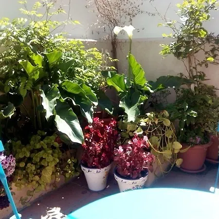 Ribera Del Tajo Сasa de vacaciones *
